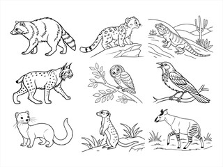 coloring page line art the animal bird and flower black vector bundle