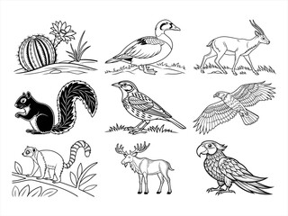 coloring page line art the animal bird and flower black vector bundle