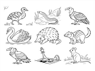 coloring page line art the animal bird and flower black vector bundle