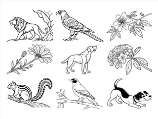 coloring page line art the animal bird and flower black vector bundle