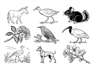 coloring page line art the animal bird and flower black vector bundle