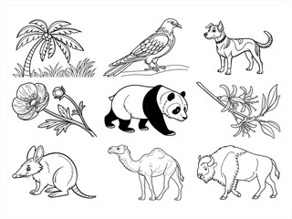 coloring page line art the animal bird and flower black vector bundle