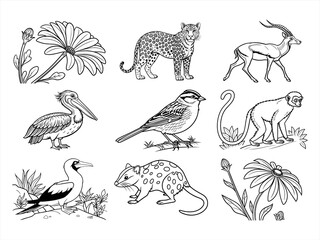 coloring page line art the animal bird and flower black vector bundle