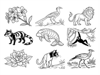 coloring page line art the animal bird and flower black vector bundle