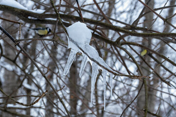 A branch covered in ice and snow