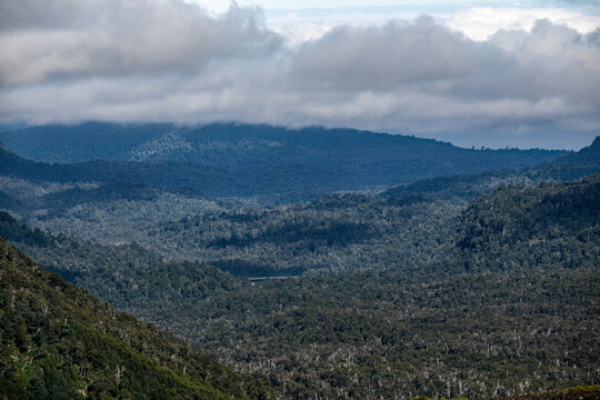Moody Overcast Clouds Above Remote Patagonian Mountain Forest