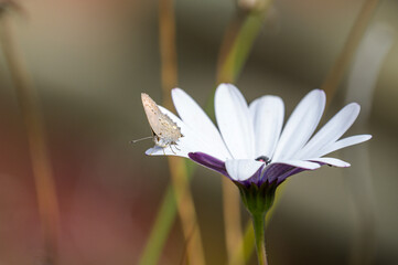 Fototapeta premium random photography