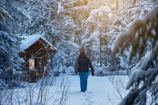 Active senior woman hiking in snowy winter landscape at sunset in the Bregenzerwald, Vorarlberg, Austria