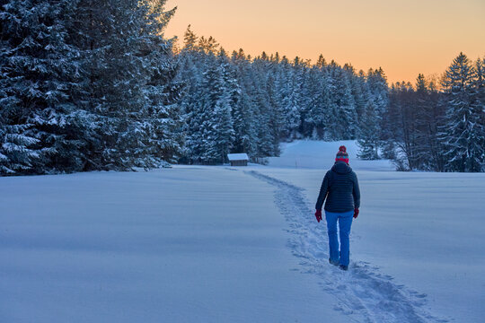 Active senior woman hiking in snowy winter landscape at sunset in the Bregenzerwald, Vorarlberg, Austria