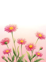 Vibrant pink flowers against a soft gradient background
