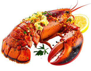 A vibrant, cooked lobster presented with lemon and garnish