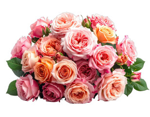 A vibrant cluster of various-toned roses, with lush green foliage, cut out against white
