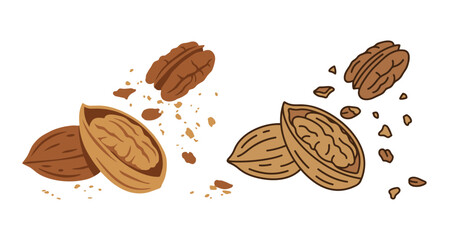 Scattered pecan nuts and pieces in shells isolated on transparent background