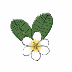 White Flower with Green Leaves