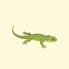 Green Lizard Illustration