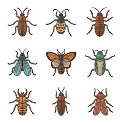 Insect Collection Illustration