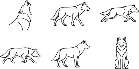 Obraz premium Simple line art illustrations of a wolf in various poses like howling, walking, and sitting