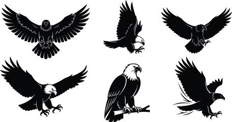 Obraz premium A collection of six bald eagle silhouettes in various poses including flying, swooping, and perching