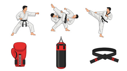 A vector graphic illustration of karate practitioners in various poses with equipment on transparent background