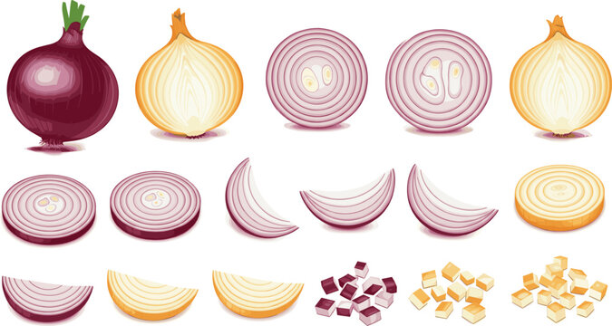 Detailed Onion Icon Set Featuring Whole Red and White Onions Sliced Rings Halves Wedges and Diced Pieces in Vibrant Flat Vector Illustration.