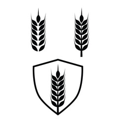 set of farm wheat icon design. agriculture seed sign and symbol