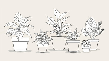Fototapeta premium Collection of potted plants drawn in a sketchy, black and white outline style