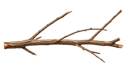 Brown twig branch isolated on transparent background