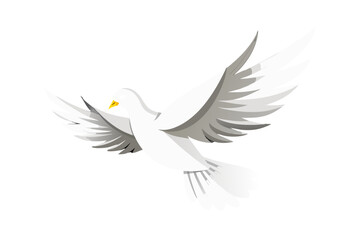 Fototapeta premium white dove with a heart