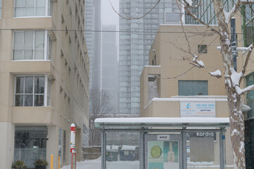 Obraz premium public transit shelter on Queens Quay West during a snow storm on 2026-01-15 in Toronto