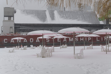 Naklejka premium CSL Welland (self-unloading bulk carrier) with sugar cargo docked at Redpath Sugar Refinery located at, 95 Queens Quay E, during a snow storm on 2026-01-15 in Toronto (Sugar Beach view)