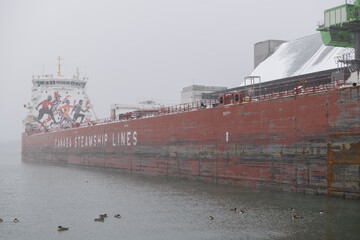 Naklejka premium CSL Welland (self-unloading bulk carrier) with sugar cargo docked at Redpath Sugar Refinery located at, 95 Queens Quay E, during a snow storm on 2026-01-15 in Toronto