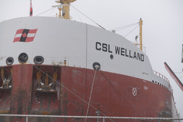 Naklejka premium CSL Welland (self-unloading bulk carrier) with sugar cargo docked at Redpath Sugar Refinery located at, 95 Queens Quay E, during a snow storm on 2026-01-15 in Toronto