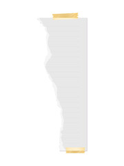 Torn paper collection