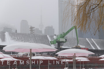 Naklejka premium CSL Welland (self-unloading bulk carrier) with sugar cargo docked at Redpath Sugar Refinery located at, 95 Queens Quay E, during a snow storm on 2026-01-15 in Toronto