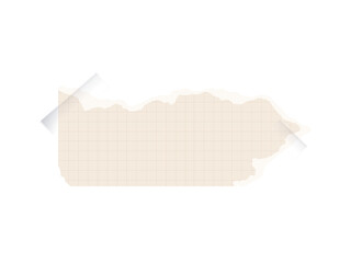 Torn paper collection