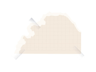 Torn paper collection