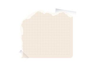 Torn paper collection