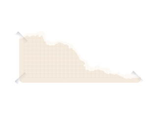 Torn paper collection