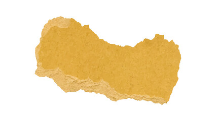 Torn paper collection