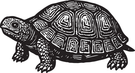 Fototapeta premium turtle vector illustration