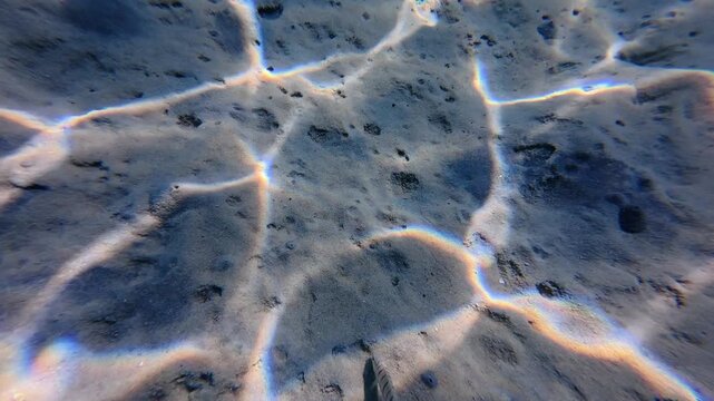 Underwater Slow Motion of Striped Seabream (Lithognathus mormyrus) Feeding on Sandy Bottom in Greek Waters