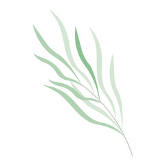 green leaf. green bushes in flat, bush