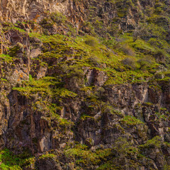 Rugged mountain landscape featuring textured rocks, vibrant moss, and various plants. Scene captures serene and wild essence of nature in daytime light.