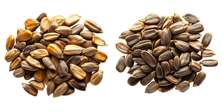 Two clusters of grains in close up view