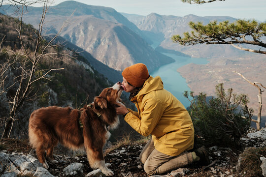 A woman kneels on a rocky viewpoint as an Australian Shepherd shows affection above the Drina River canyon in Tara National Park, Serbia. Concept emotional bond, hiking, travel with pets.