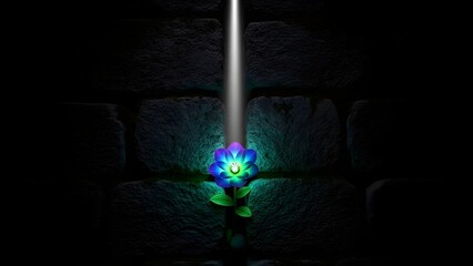 Growth in solitude and mental strength concept with flower in shadow