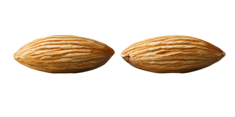 Two light brown oval shapes isolated on transparent background