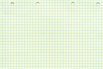Blank grid paper with three holes in light blue checked pattern for school or office use.
