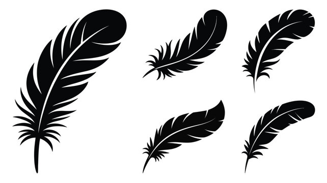 Feather silhouettes vector set isolated on white background, decorative bird feather shapes
