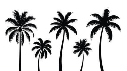 Palm tree silhouettes vector set isolated on white background, tropical summer nature icons